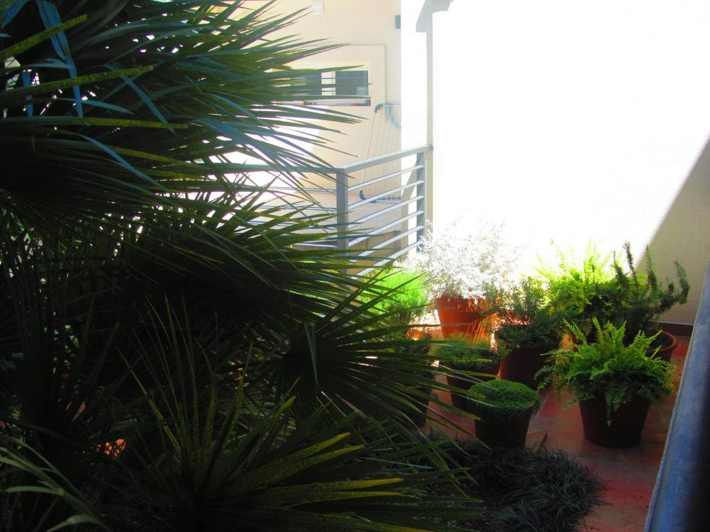 Apartments And Rooms Teona Budva Exterior photo